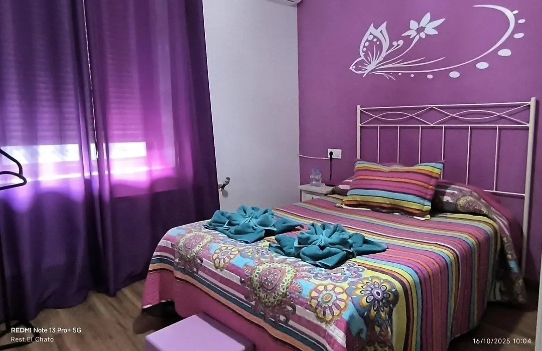 Hostal Hotel El Chato-1